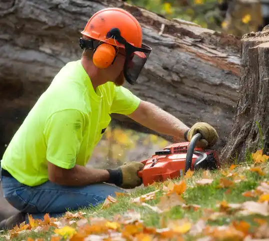 tree services Fromberg